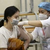 Vietnam sin registrar casos de la nueva variante Ómicron del coronavirus
