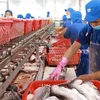 Destacan potencialidades para exportación de productos acuáticos vietnamitas a Canadá