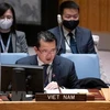 Vietnam llama a promover implementación de UNCLOS en la ONU