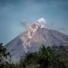 Indonesia: Volcán Semeru arroja columna de ceniza de dos kilómetros de altura 