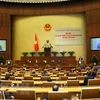 Asamblea Nacional de Vietnam seguirá fomentando actividades externas