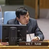 Vietnam exhorta a promover proceso de paz en Oriente Medio