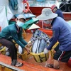 Vietnam se esfuerza por levantamiento de tarjeta amarilla impuesta al sector pesquero