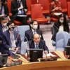 Diplomática británica alaba contribuciones de Vietnam al Consejo de Seguridad de la ONU