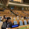 India aprecia contribuciones de Vietnam al Consejo de Seguridad de la ONU