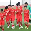 Fútbol vietnamita marca improntas en la cooperación internacional