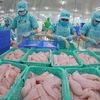 Vietnam podría obtener ingreso multimillonario por exportaciones de pescado Tra en 2022
