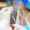 Vietnam recibe más de 6,27 millones de dosis de vacunas suministradas por cuatro países europeos 
