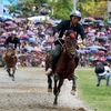 Buscan promover valores de carrera de caballos en provincia vietnamita