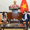 Vietnam busca fortalecer cooperación con órganos de la ONU 