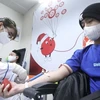 Campaña de donación de sangre en Hanoi recolecta más de ocho mil 600 unidades de plasma
