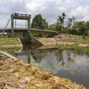 Delta del Mekong de Vietnam afronta creciente intrusión salina