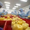 Analizan impactos del conflicto entre Rusia y Ucrania en exportación de productos agrícolas vietnamitas