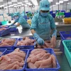 Crecen oportunidades de productos agrícolas vietnamitas en mercado global