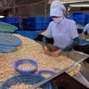 Reciben apoyo empresas exportadoras de anacardo vietnamita