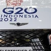 Indonesia propone estandarizar las reglas de viaje de G20