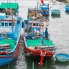 Producción de mariscos de Vietnam alcanza más de 566 toneladas en tres meses