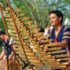 Efectuarán exposición sobre instrumentos musicales de etnias vietnamitas en ciudad de Can Tho