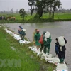 Premier vietnamita insta a superar pérdidas causadas por inundaciones