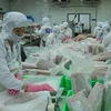 Vietnam apunta a desatascar exportaciones acuícolas