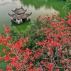 Viaje de la Amistad 2022 en Hanoi