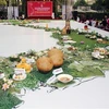 Mapa de delicias de 63 localidades establece récord en Vietnam