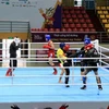  Selección vietnamita de kickboxing apunta a ganar medallas de oro