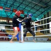 SEA Games 31: Inauguran torneos de kickboxing en provincia vietnamita de Bac Ninh