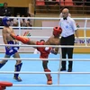 SEA Games 31: Camboya aspira a conseguir medallas en kickboxing