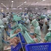Estados Unidos reconoce calidad de pescado vietnamita Tra