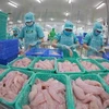 Exportaciones de pescado Tra de Vietnam aumentan de enero a mayo 