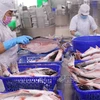 Exportación de productos acuáticos vietnamitas aumenta en mayo