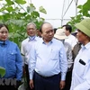 Presidente de Vietnam destaca rol de personas mayores en sociedad