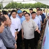 Primer ministro vietnamita pide estudiar proyecto de la mina de hierro Thach Khe