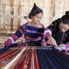 “Conservan el color” del tejido de minoría étnica en Vietnam