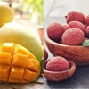 Señales positivas para exportaciones de frutas vietnamitas