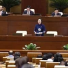 Parlamento vietnamita debate sobre Ley de Implementación de la Democracia de Base