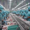 Buscan aumentar exportaciones de productos alimentarios de Vietnam a África 