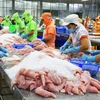 Vietnam disfruta aumento fuerte de exportaciones de pescado Tra