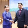 Destacan relación de buena vecindad y cooperación integral entre Vietnam y Camboya