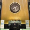 Vietnam apoya esfuerzos de ONU para mejorar la seguridad vial