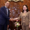 Vicepresidenta de Vietnam recibe a alto funcionario de OMS