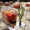 Entierran restos de mártires vietnamitas fallecidos en Camboya