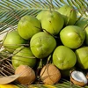 Provincia vietnamita por estimular exportación de productos de coco