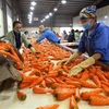 Vietnam aspira a ser uno de los diez principales procesadores de agricultura del mundo