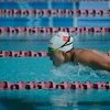 Nadadores vietnamitas establecen cuatro plusmarcas en ASEAN Para Games
