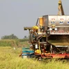 Tailandia aprueba plan agrícola para provincias del Corredor Económico Oriental