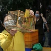 Liberación de aves: buen hábito de los hanoyenses en el Festival Vu Lan