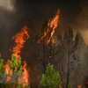 Vietnam expresa simpatía con Francia por incendios forestales 