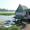 Provincia vietnamita invertirá en obras de prevención de la erosión a lo largo de ríos